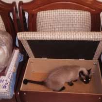 Продам мягкие стулья, в Челябинске