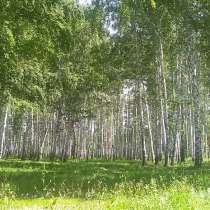 12 соток ровной плодородной земли, в Самаре