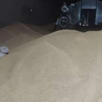 Просо, в г.Павлодар