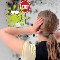 Избавиться от плесени. Гарантированный результат. Без запаха, в Москве