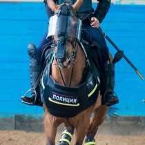 Полицейский в конную полицию, в Москве