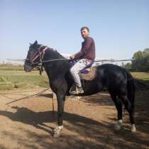Azam, 31 год, хочет пообщаться, в г.Душанбе