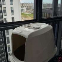 Кошачий лоток, в Санкт-Петербурге