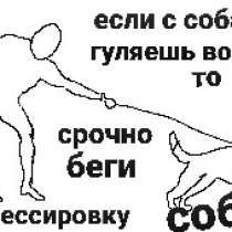 Кинолог инструктор дрессировщик, в г.Ташкент
