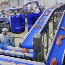 Упаковщик на производство птицефабрика г Белгород, в Белгороде