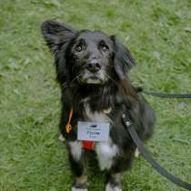 Мистер деликатность - Гром, в Москве