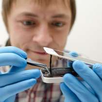 Консультация по ремонту iPhone в сервисе ЯСделаю. Челябинск, в Челябинске