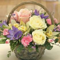 Срочно ищу работу няни, либо помощницей по дому, в г.Комрат