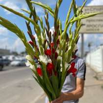 Букет из свежих гладиолус, в Москве
