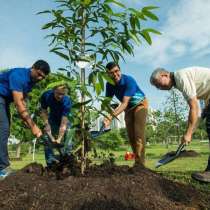 Рабочая сила, в Нижнем Новгороде