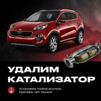 Удаление катализатора + Чип-Тюнинг, в Ярославле