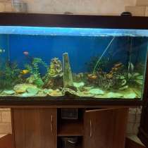 Аквариум, в Сочи