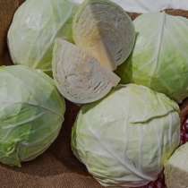 Капуста Туркменский, в Москве