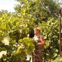 Продаю дачу в черте города, кому надо прописаться!, в Волгограде