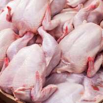 Мясо говядины и мясо куриное оптовые поставки, в Смоленске