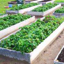 Полоса для грядок, в Воскресенске