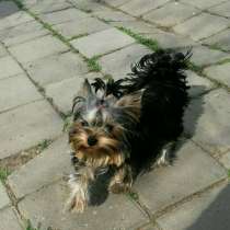 Очаровашка, в Анапе