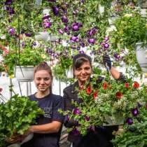 Muncitori la depozite de haine noi și lucru la seră, в г.Кишинёв