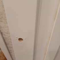 Полотно бу экошпон 80*2000, в Барнауле