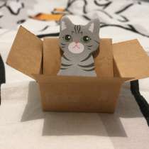 Кот закладка напоменалка, в Москве