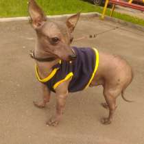 Вязка, в Москве