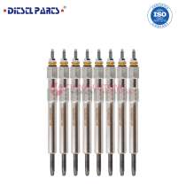 Для свечи накаливания туарег 3.0 дизель, в г.Sierra de los Padres