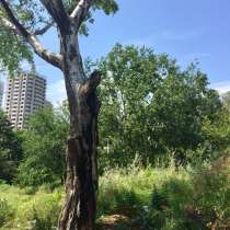 Продам з/у 26 сот в центре Сочи-Ж-4, в Сочи