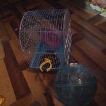 Продаю клетку для грызунов, в г.Баку