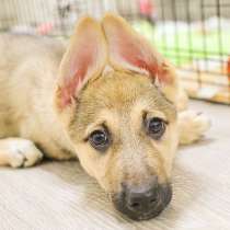 Спасение жизни, в Москве