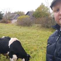 Путешествие в Латвию, в г.Цфат