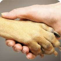 Юридические споры с Ветеринарными клиниками в СПБ и Лен. обл, в Санкт-Петербурге