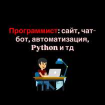 Программист:сайт, чат-бот, автоматизация, Python и тд, в Москве