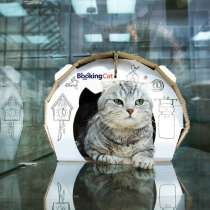 Зоогостиница BookingCat, в г.Алматы