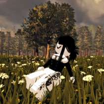 Делаю позинг в роблокс, в Чайковском