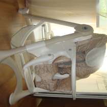 Стульчик для кормления CAM Campione S2300, в Ростове-на-Дону