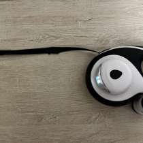 Поводок-рулетка, в Томске