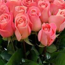 Репетитор по Математике, в Сарове