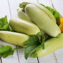 Отдам даром кабачки, в Белово