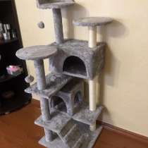 Когтеточка, в г.Брест