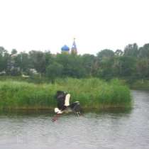 В экологически чистом пригороде продаю дом с участком, в г.Запорожье