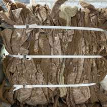 Продаем кокос на переработку, в Коврове