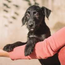 Мегги, в г.Амстердам