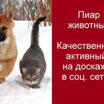 КАЧЕСТВЕННЫЙ ЕЖЕДНЕВНЫЙ ПИАР КОШЕК И СОБАК В ИНТЕРНЕТЕ, в Москве