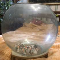 Аквариум для рыб, в Чехове