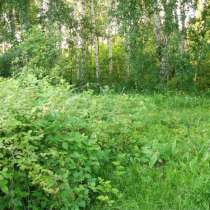 Участок 10 сот. с лесом!, в Красноярске