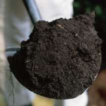 Чернозем в мешках, в Москве