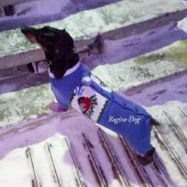 Вязаная одежда для такс, комбинезоны, свитера, в Москве