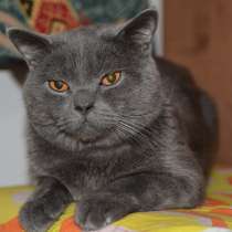 Приглашаем на вязку, в г.Ришон-ле-Цион