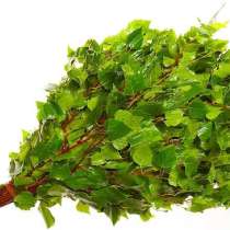 Веники, в Нижнем Новгороде