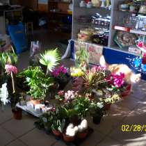 Комната свободного назначения, в Курске